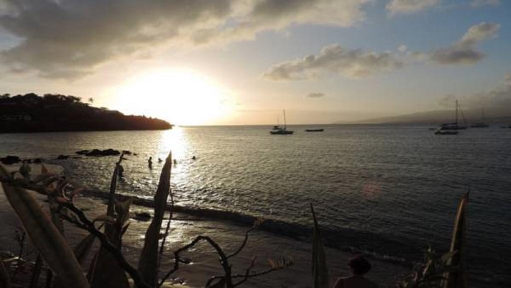 Ocean Bayalocation Lejlighed L'Anse Mitan Eksteriør billede